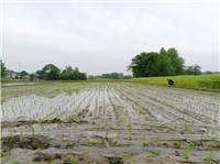 CtG0ZGYqHL2Aaz2KABoW8OkVnJo570 (1).png