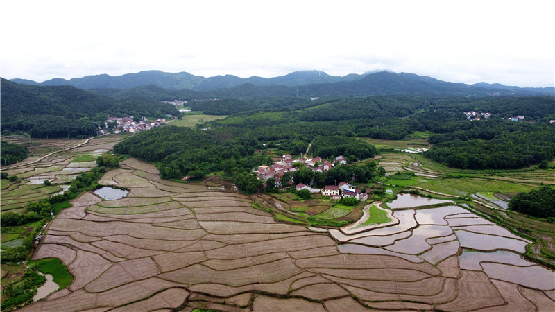 DJI_0830.jpg