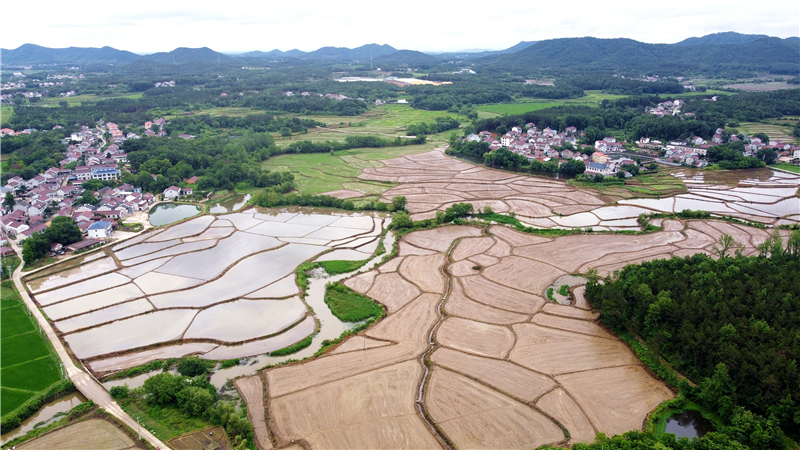 DJI_0833.jpg