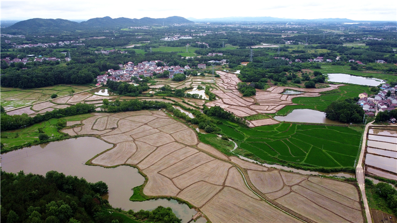 DJI_0836.jpg