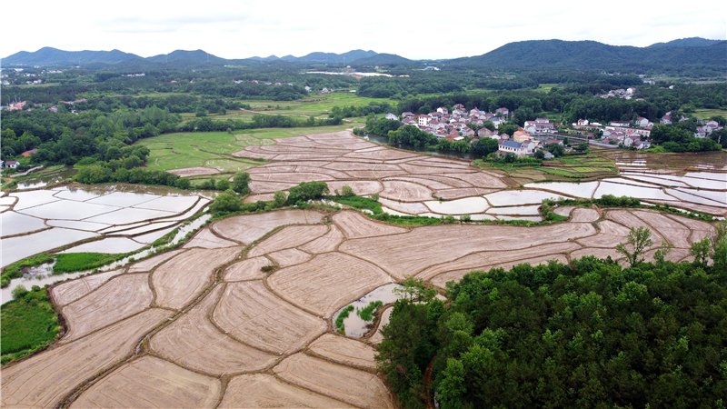 DJI_0838.jpg