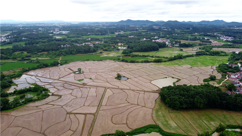 DJI_0841.jpg