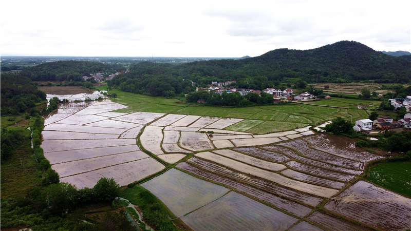 DJI_0845.jpg