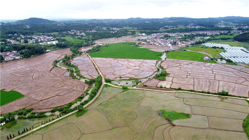 DJI_0846.jpg