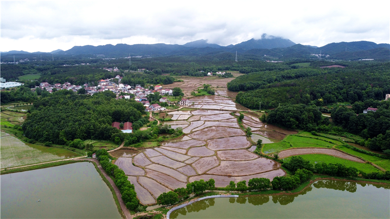 DJI_0851.jpg