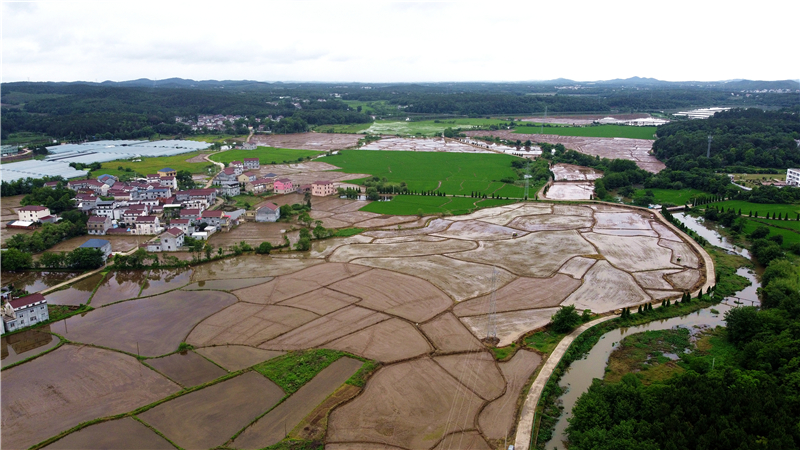DJI_0857.jpg