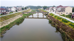 DJI_0957.jpg