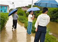 image001.png